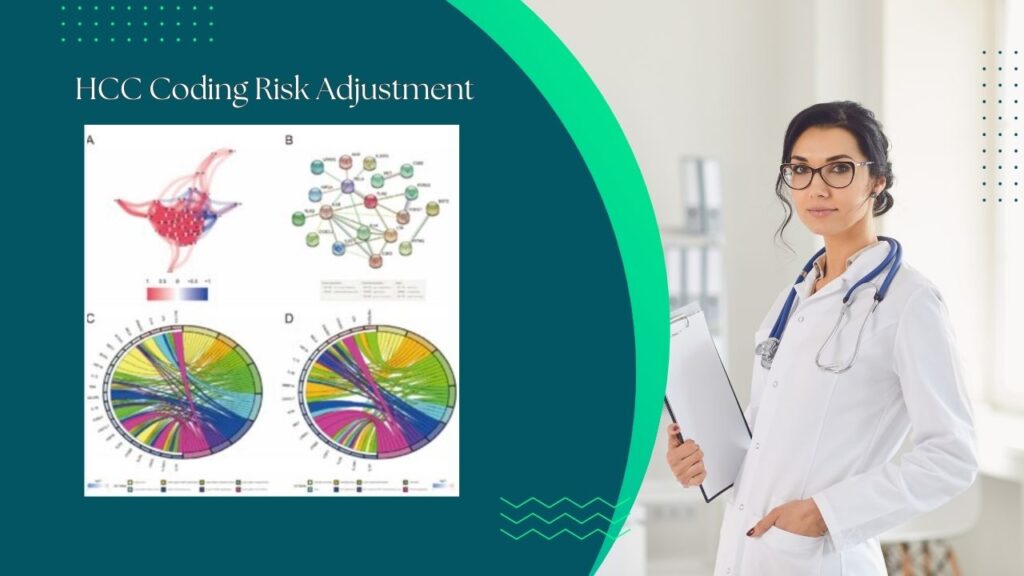 HCC coding risk adjustment is crucial to the financial management of healthcare providers and insurers